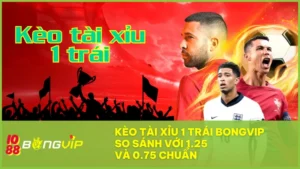 BONGVIP kèo tài xỉu 1 trái: Khác biệt gì so với 0.75 và 1.25?