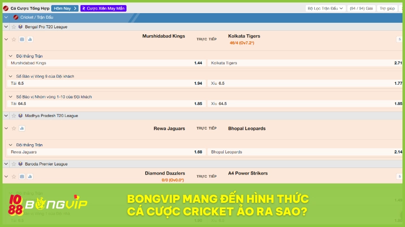 Cá cược Cricket ảo BONGVIP - Khám phá từ A-Z cho newbie 4 BONGVIP mang đến cá cược Cricket ảo đỉnh cao với quy trình minh bạch