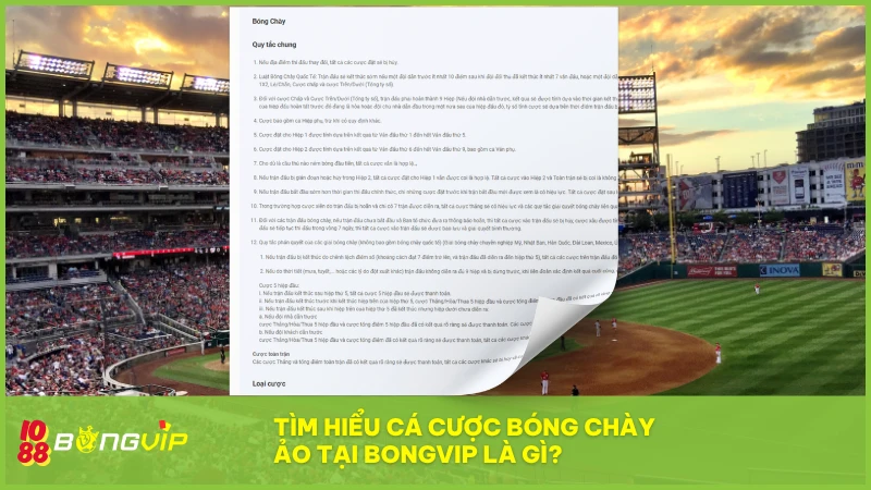 Cá cược bóng chày ảo BONGVIP - Hướng dẫn tham gia từ A-Z 2 Cá cược bóng chày ảo BONGVIP là sân chơi mới được game thủ săn đón