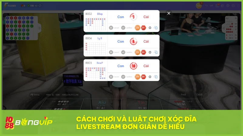 Xóc Đĩa Livestream tại BongVip: Trải nghiệm sòng bài chân thực, minh bạch cùng dealer 3 Luật chơi rõ ràng cùng cách cược trực quan giúp bạn dễ dàng nhập cuộc ngay từ lần đầu trải nghiệm