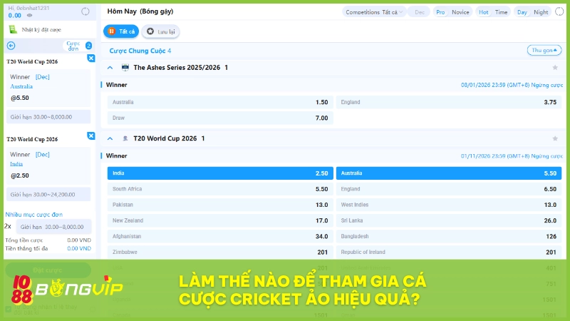 Cá cược Cricket ảo BONGVIP - Khám phá từ A-Z cho newbie 5 Chinh phục cá cược Cricket ảo BONGVIP không khó với các mẹo hay