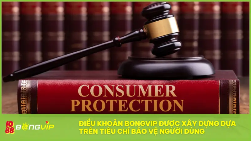 Điều khoản BONGVIP - Bản cam kết vàng để chơi công bằng 2 Điều khoản BONGVIP được xây dựng dựa trên tiêu chí bảo vệ người dùng