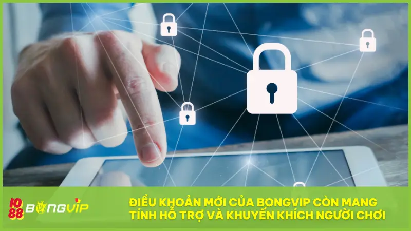 Điều khoản BONGVIP - Bản cam kết vàng để chơi công bằng 4 Điều khoản mới của BONGVIP còn mang tính hỗ trợ và khuyến khích người chơi