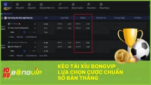 Đọc vị kèo tài xỉu BongVip: Chìa khóa thắng lớn cho dân cá độ