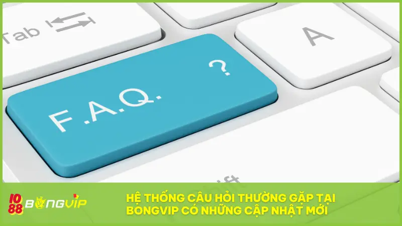 Giải đáp câu hỏi thường gặp tại BONGVIP nhanh, rõ ràng 5 Hệ thống câu hỏi thường gặp tại BONGVIP có những cập nhật mới