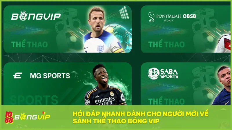 Sảnh Thể Thao Bóng Vip - Cược là có kèo, vào là có lộc! 6 Hỏi đáp nhanh dành cho người mới khi bắt đầu khám phá sảnh thể thao Bóng Vip