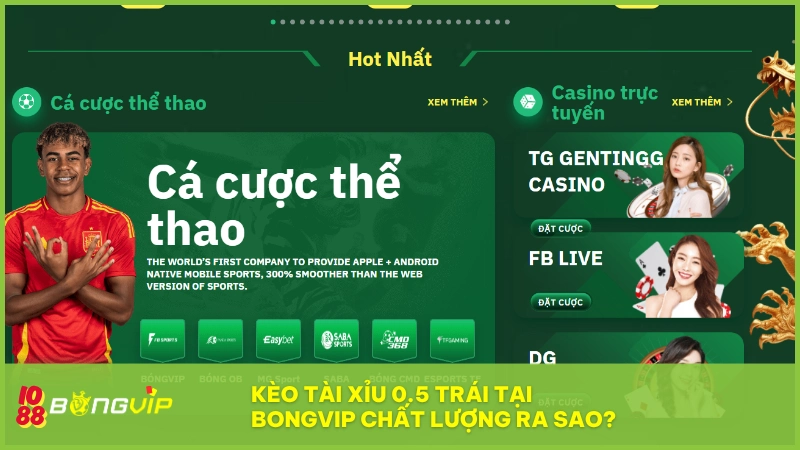 Kèo tài xỉu 0.5 trái BONGVIP - Mức dự đoán bàn thắng hấp dẫn 6 Kèo tài xỉu 0.5 tại BONGVIP đảm bảo minh bạch, cập nhật nhanh