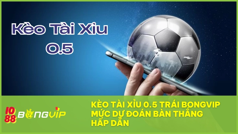 Kèo tài xỉu 0.5 trái BONGVIP - Mức dự đoán bàn thắng hấp dẫn 4 Kèo tài xỉu 0.5 trái BONGVIP – Mức dự đoán bàn thắng hấp dẫn