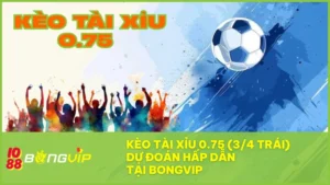 Kèo tài xỉu 0.75 BONGVIP – Cược thông minh, ăn tiền linh hoạt