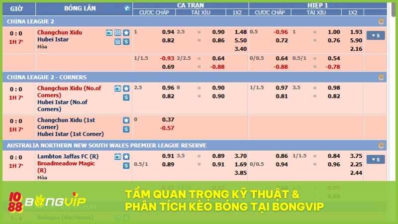 Kỹ thuật và phân tích kèo bóng giúp người chơi đưa ra quyết định chính xác