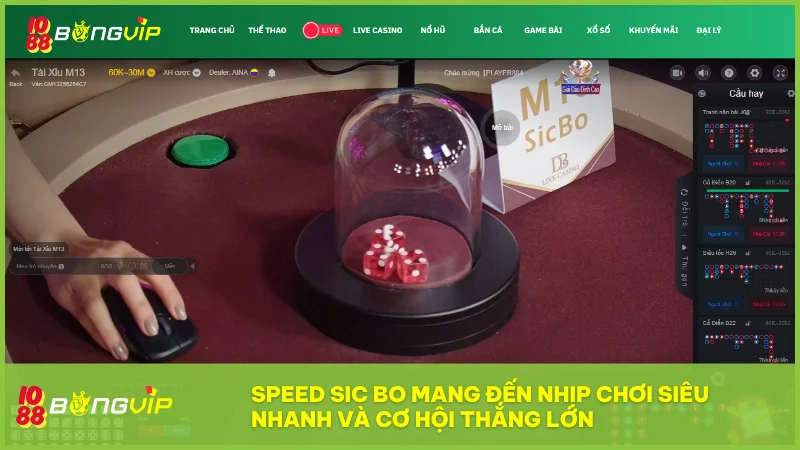 Tài Xỉu Livestream BongVip: Trải nghiệm xúc xắc hiện đại & minh bạch từng giây 4 Speed Sic Bo mang đến nhịp chơi siêu nhanh và cơ hội thắng lớn trong từng giây cược.