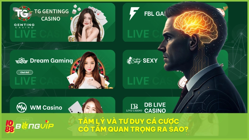 Tâm lý và tư duy cá cược - Chìa khóa chiến thắng tại BONGVIP 5 Tâm lý & tư duy cá cược chiếm 40% khả năng thắng cược tại BONGVIP