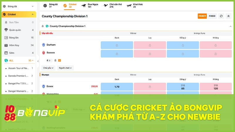 Cá cược Cricket ảo BONGVIP - Khám phá từ A-Z cho newbie 2 Cá cược Cricket ảo BONGVIP – Khám phá từ A-Z cho newbie