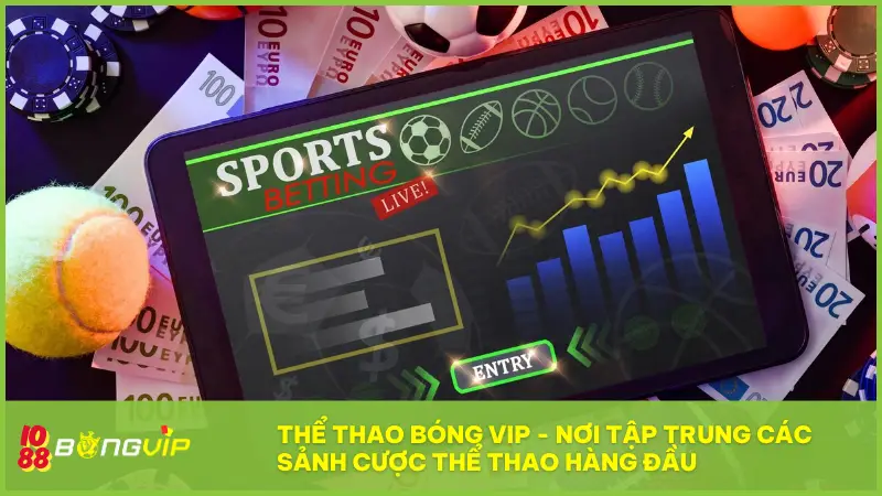 Sảnh Thể Thao Bóng Vip - Cược là có kèo, vào là có lộc! 3 Thể thao Bóng Vip - Nơi tập trung các sảnh cược thể thao hàng đầu