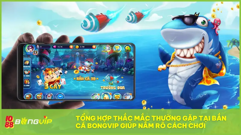 Thế giới Bắn Cá BONGVIP - Càng nhiều cá, càng lắm vàng! 7 Tổng hợp các thắc mắc thường gặp tại Bắn cá BONGVIP giúp bạn nắm rõ cách chơi