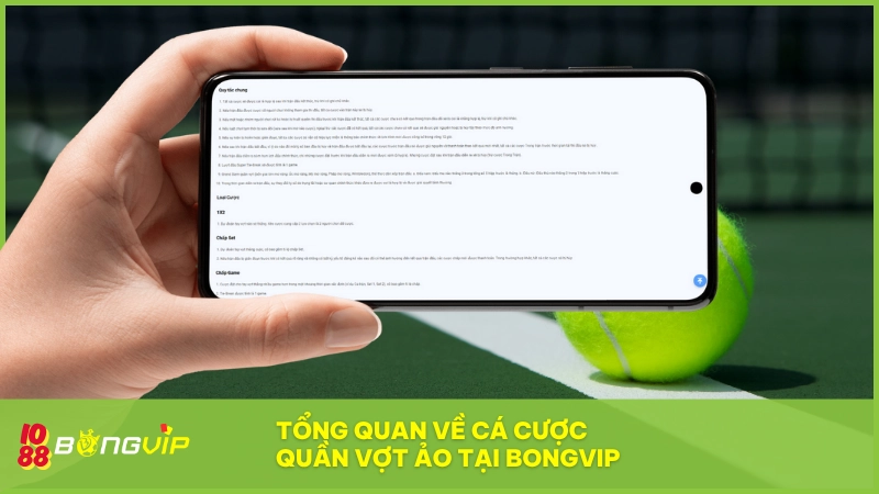 Cá cược Quần Vợt Ảo BONGVIP - Trải nghiệm độc quyền 2 Trải nghiệm cá cược Quần Vợt Ảo đỉnh cao chỉ có tại BONGVIP