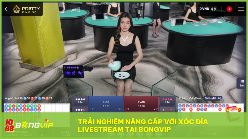 Xóc Đĩa Livestream tại BongVip: Trải nghiệm sòng bài chân thực, minh bạch cùng dealer 2 Không gian chơi được đầu tư chỉn chu giúp bạn cảm nhận như đang ngồi tại sòng thật ngay trên thiết bị của mình
