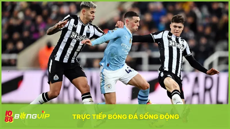 Giới thiệu 2 Bongvip có tính năng trực tiếp các trận đấu có chất lượng cao