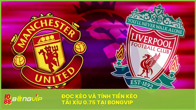Kèo tài xỉu 0.75 (3/4 trái) - Dự đoán hấp dẫn tại BONGVIP 4 Ví dụ MU vs Liverpool làm rõ cách tính tiền kèo 0.75 tại BONGVIP
