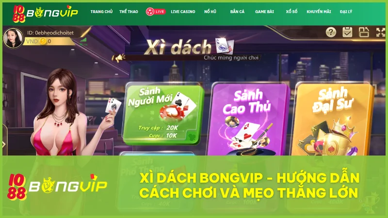 Xì Dách BongVip IO88 có gì hấp dẫn? Hướng dẫn chơi chuẩn cho mọi cấp độ 2 Xì Dách BongVip IO88 có gì hấp dẫn? Hướng dẫn chơi chuẩn cho mọi cấp độ