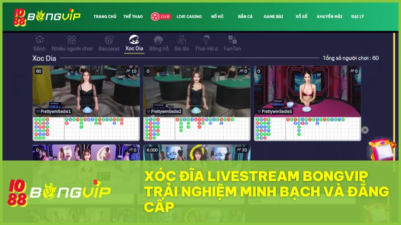 Xóc Đĩa Livestream tại BongVip: Trải nghiệm sòng bài chân thực, minh bạch cùng dealer 1 Xóc Đĩa Livestream tại BongVip: Trải nghiệm sòng bài chân thực, minh bạch cùng dealer